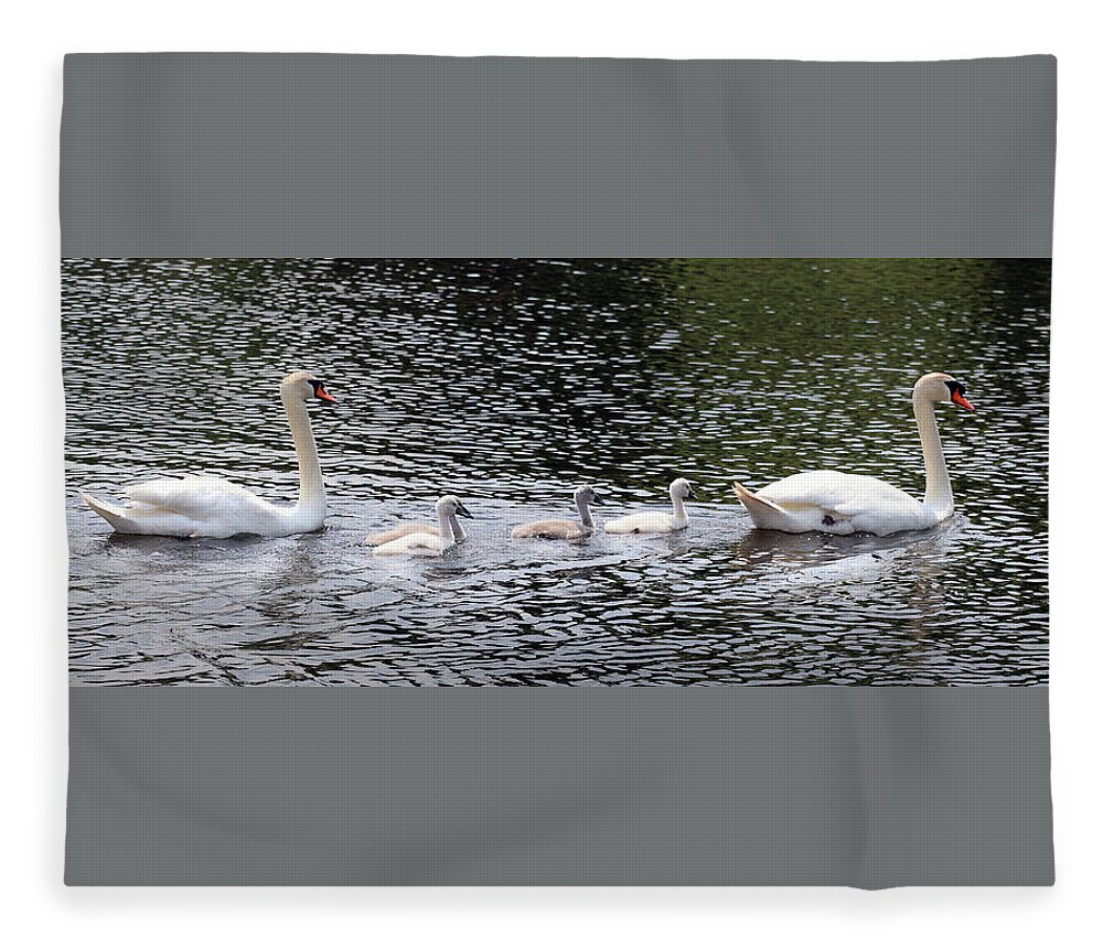Swan Family Fleece Blanket featuring the photograph The Swan Family by David T Wilkinson