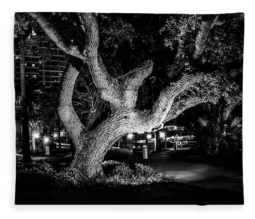 Art Fleece Blanket featuring the photograph The Tree of Life by Louis Dallara