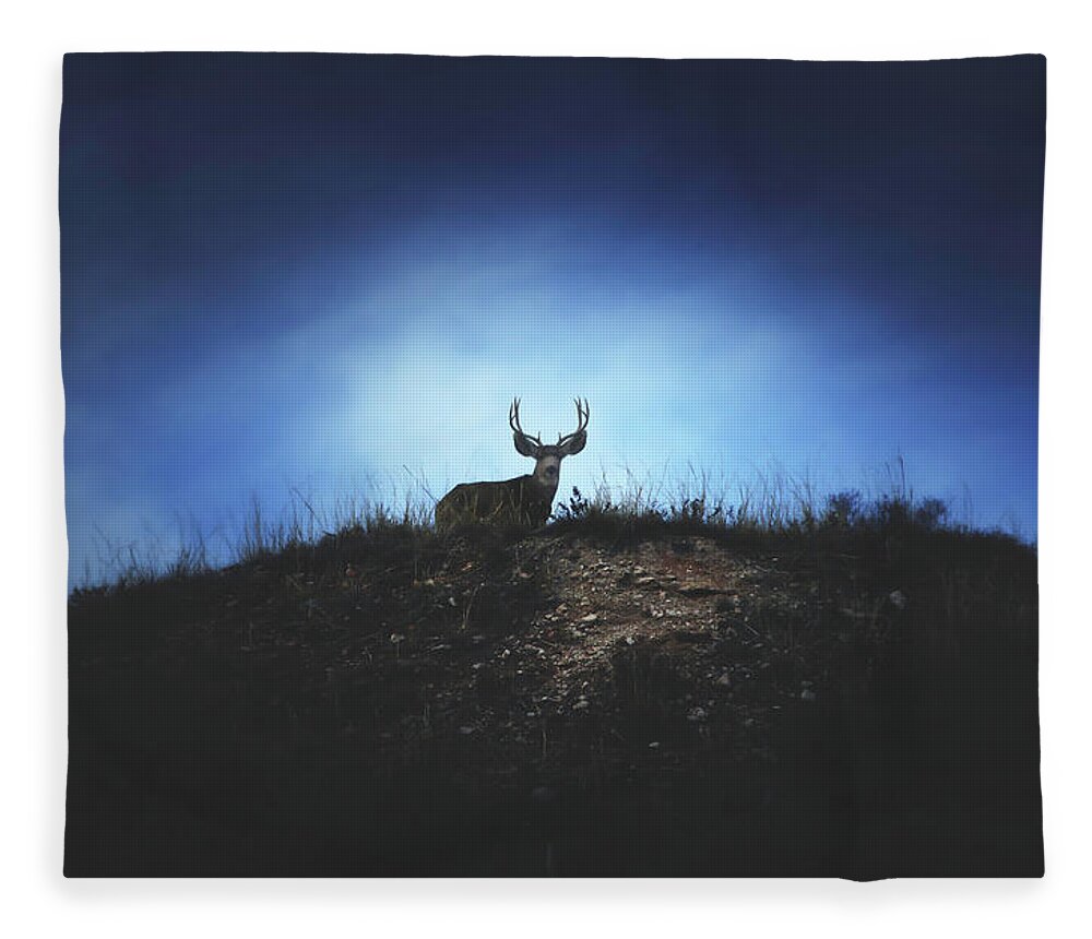 Buck Fleece Blanket featuring the photograph The Visitor by Brian Gustafson