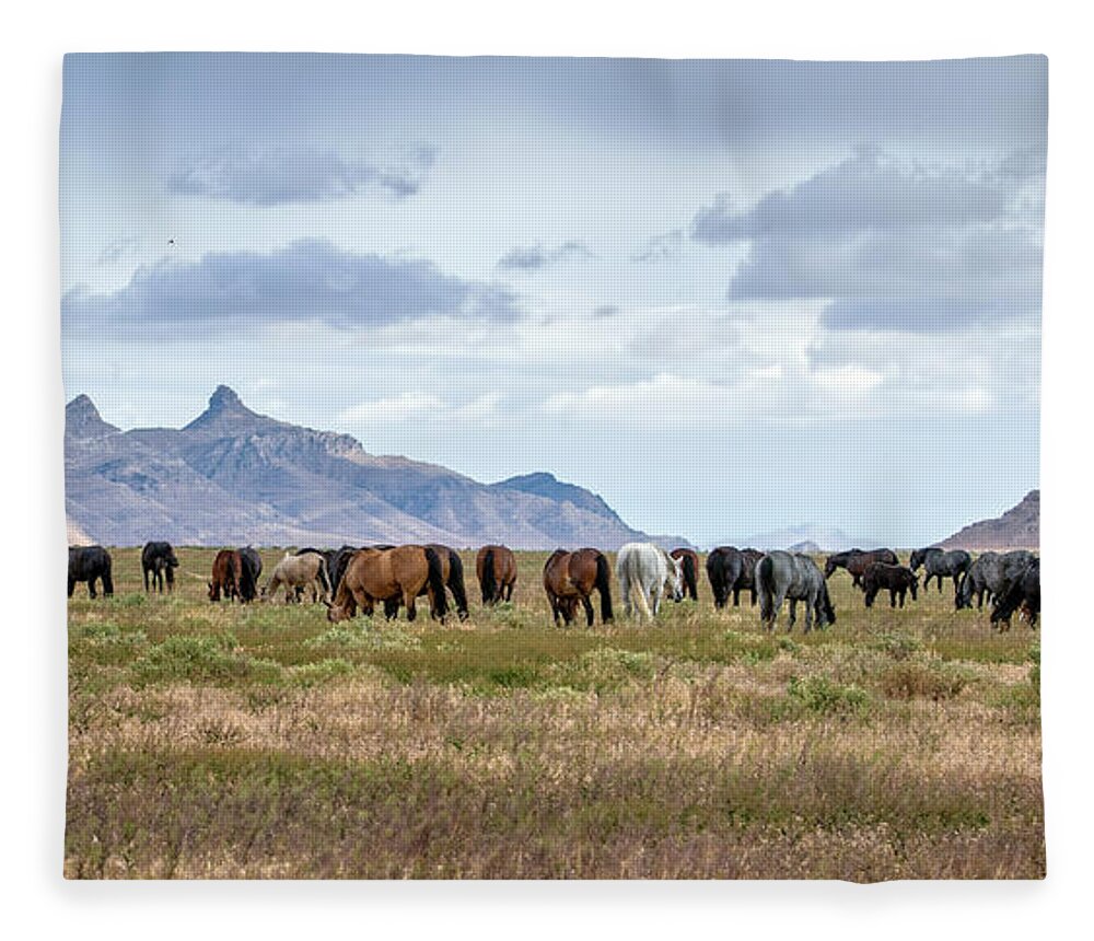 Horse Fleece Blanket featuring the photograph The Wild Horses of the Onaqui Mountains, Utah by Jeanette Mahoney