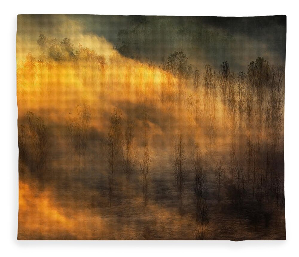 Bulgaria Fleece Blanket featuring the photograph Thin Forest by Evgeni Dinev