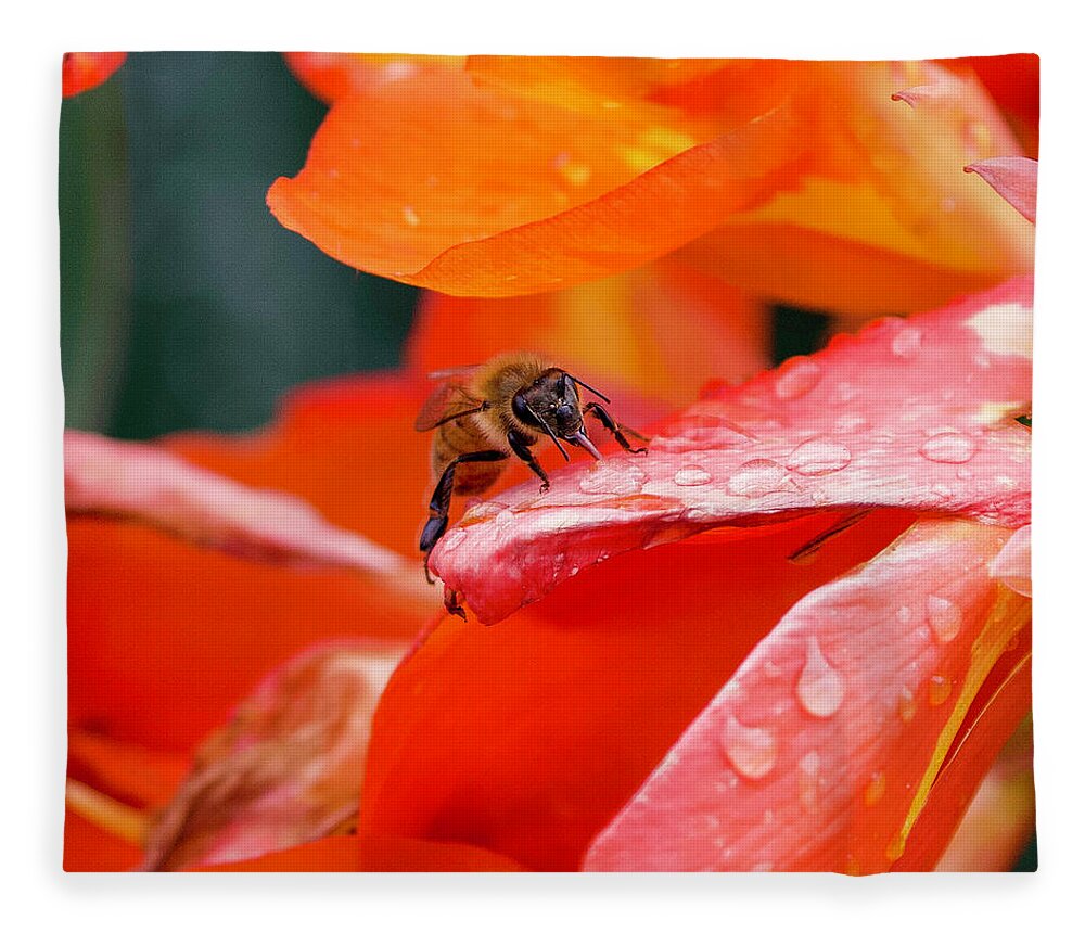 Bee Fleece Blanket featuring the photograph Thirsty Bee by Shirley Dutchkowski
