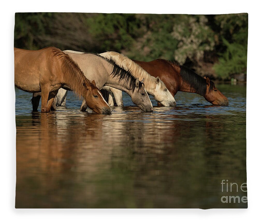 Salt River Wild Horses Fleece Blanket featuring the photograph Thirsty by Shannon Hastings