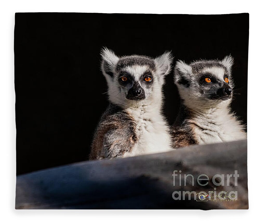 David Levin Photography Fleece Blanket featuring the photograph This Spot's for You by David Levin