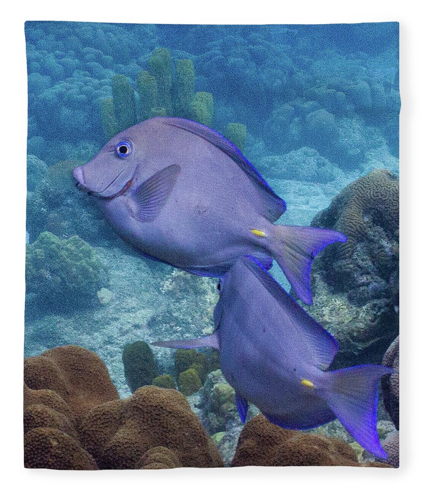 Animals Fleece Blanket featuring the photograph This Way by Lynne Browne