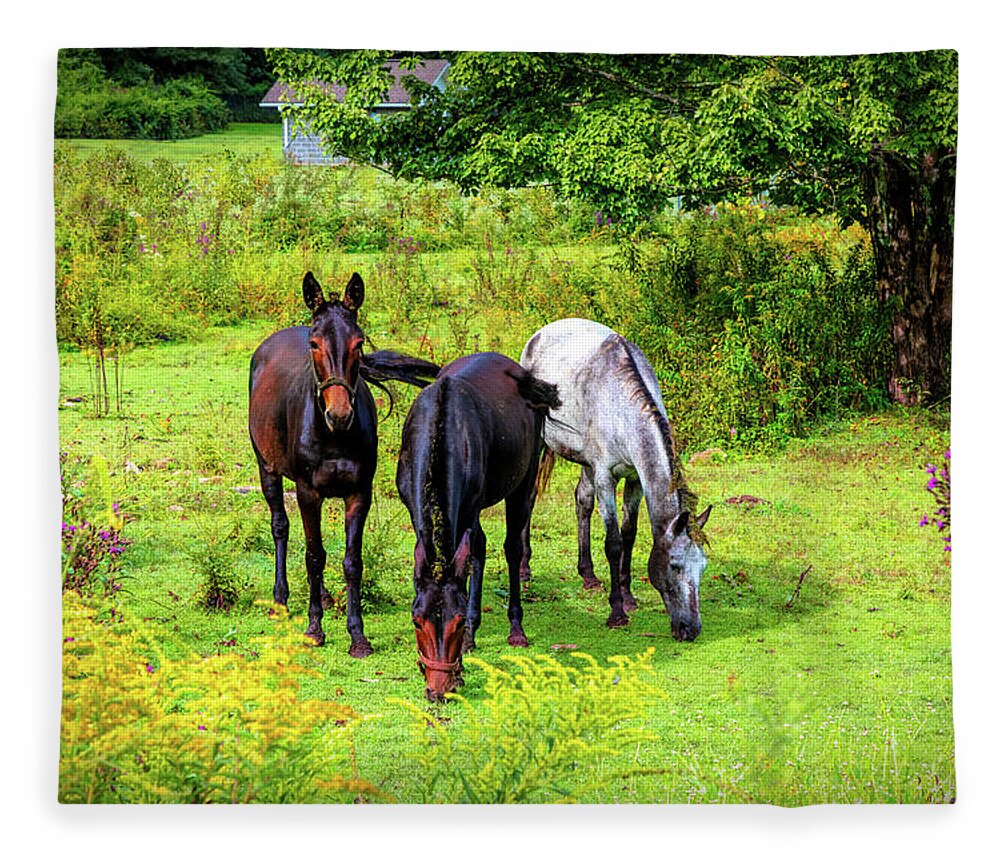 Animals Fleece Blanket featuring the photograph Three Horses in the Farm Pastures by Debra and Dave Vanderlaan