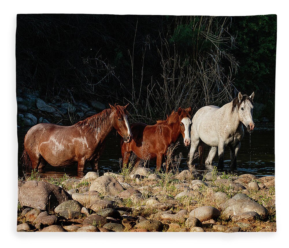 Horses Fleece Blanket featuring the photograph Three Kings by Carmen Kern