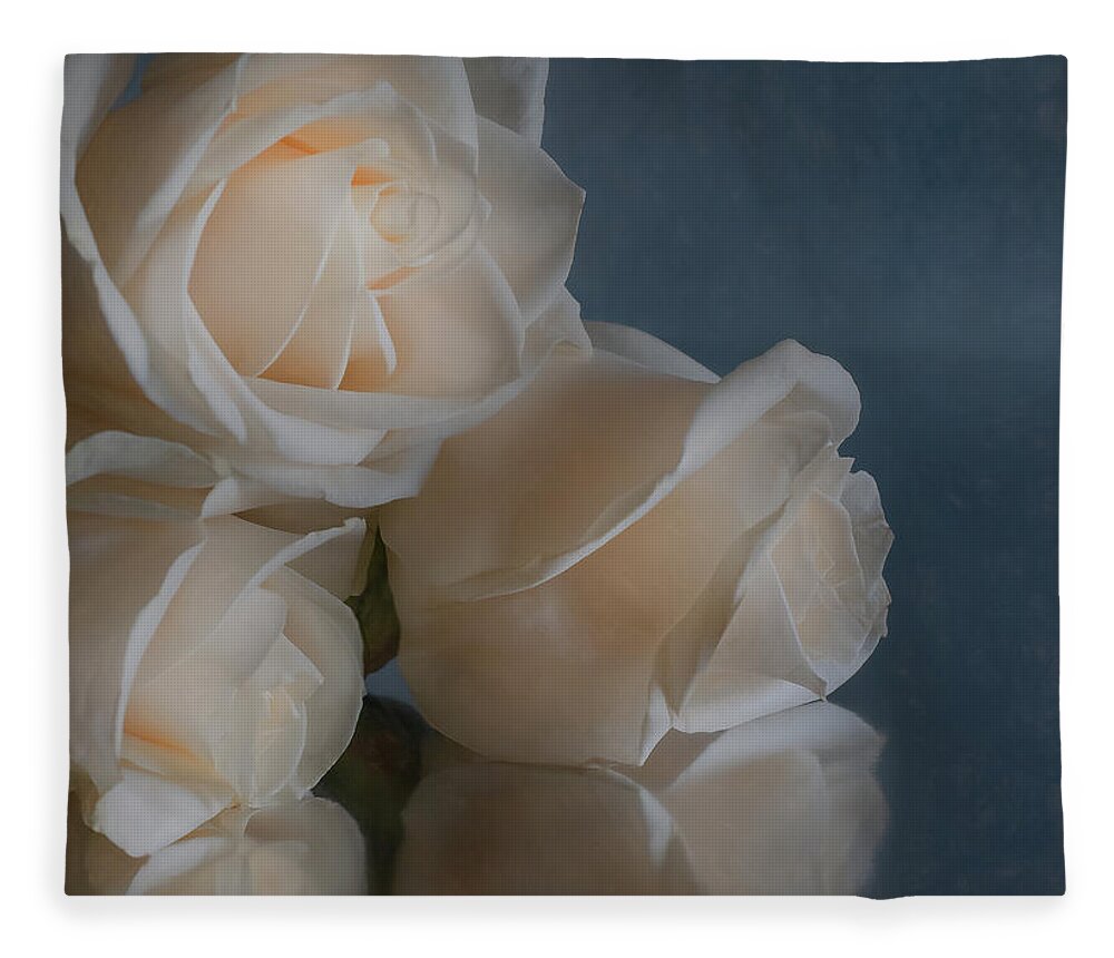 Roses Fleece Blanket featuring the photograph Three Roses by Sylvia Goldkranz