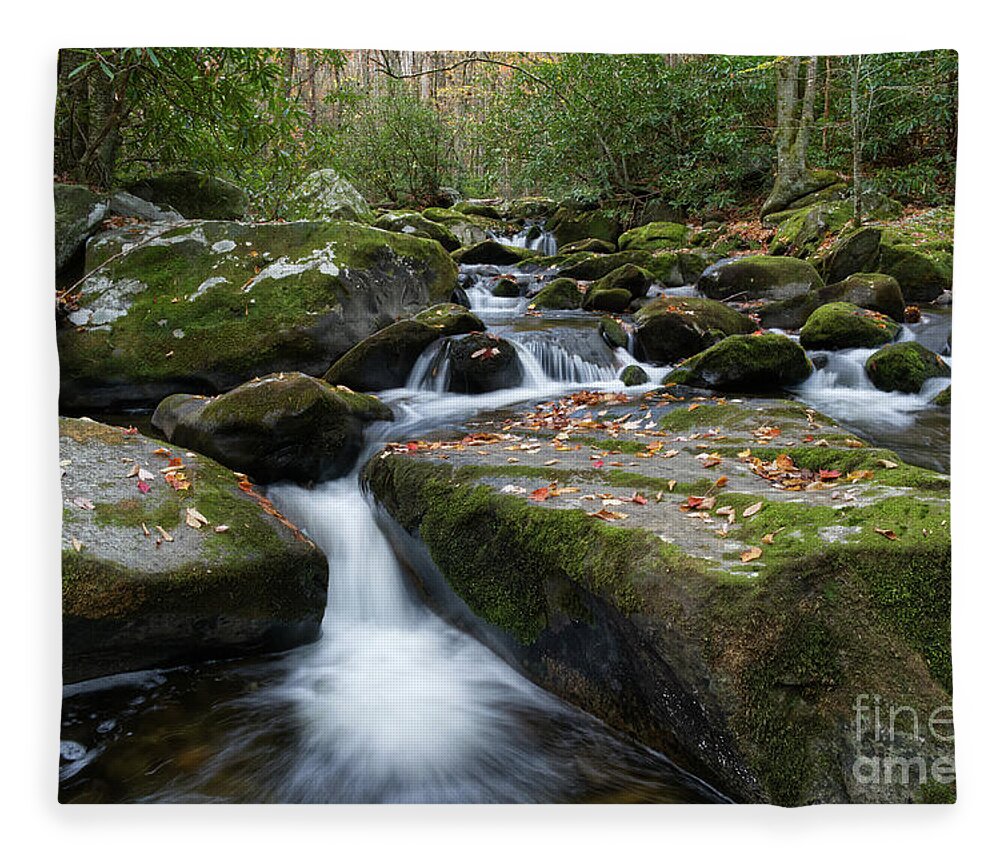 Smoky Mountains Fleece Blanket featuring the photograph Thunderhead Prong 28 by Phil Perkins