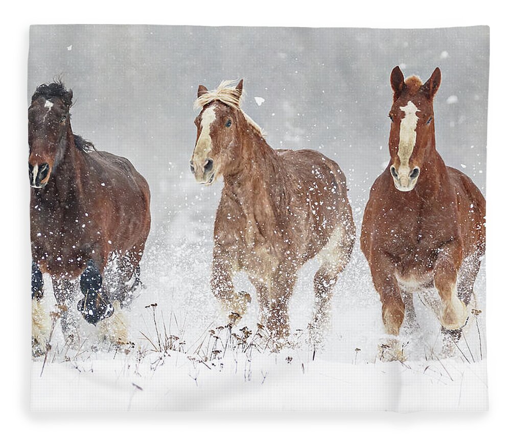 Thundering Hooves Fleece Blanket featuring the photograph Thundering Hooves by Wes and Dotty Weber