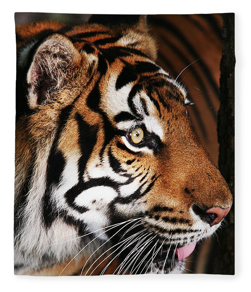 Tiger Fleece Blanket featuring the photograph Tiger Profile by Brad Barton