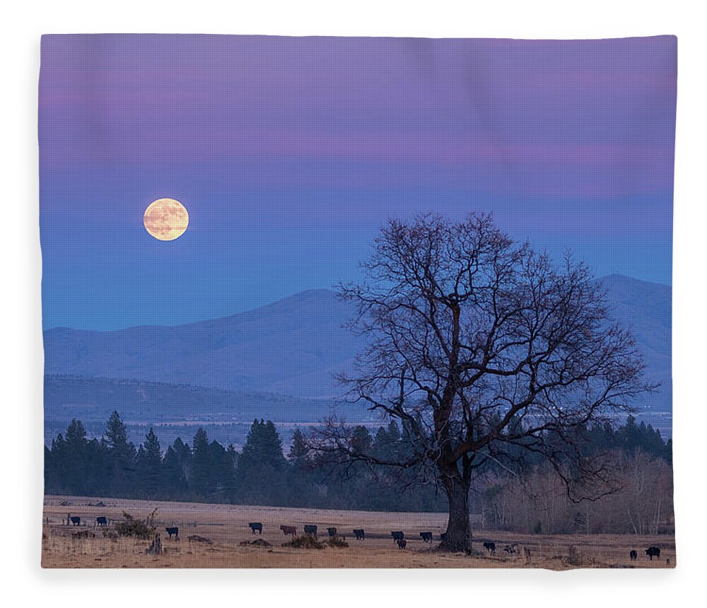 Moonrise Fleece Blanket featuring the photograph Till the Cows Come Home by Randy Robbins
