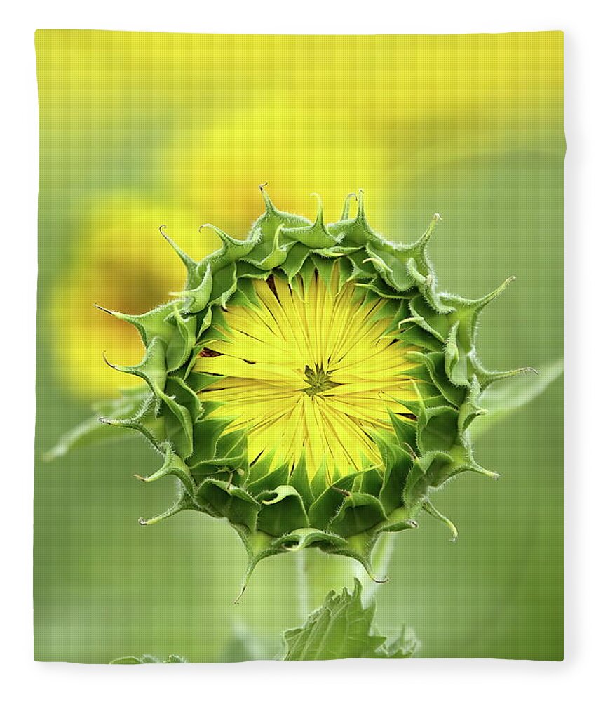 Sunflower Fleece Blanket featuring the photograph Time To Wake Up by Lens Art Photography By Larry Trager