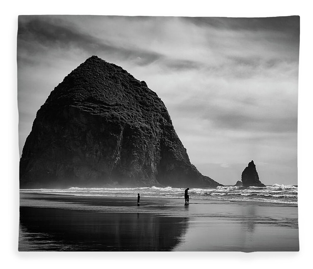 Beach Fleece Blanket featuring the photograph Time Together by Steven Clark