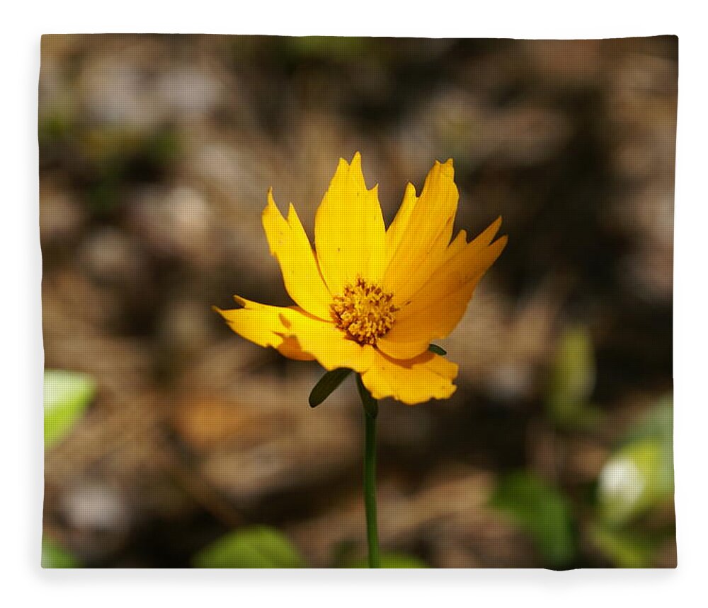  Fleece Blanket featuring the photograph Tiny Bloom by Heather E Harman