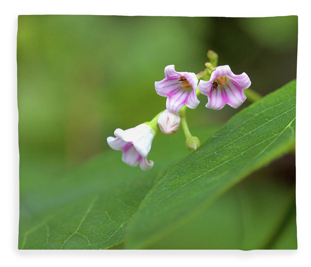 Wildflowers Fleece Blanket featuring the photograph Tiny Wildflowers by Bob Falcone