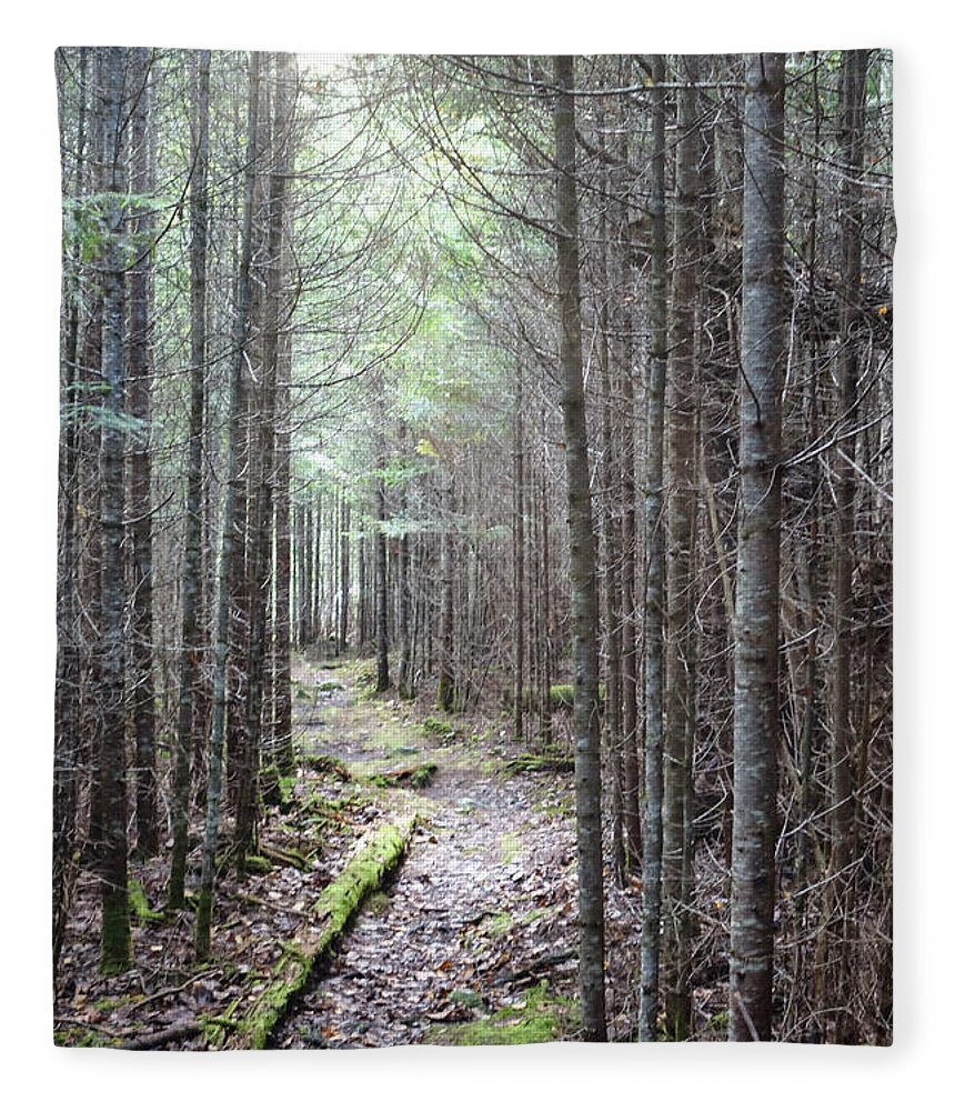 Maine Fleece Blanket featuring the photograph Trail in Northern Maine Woods by Russ Considine