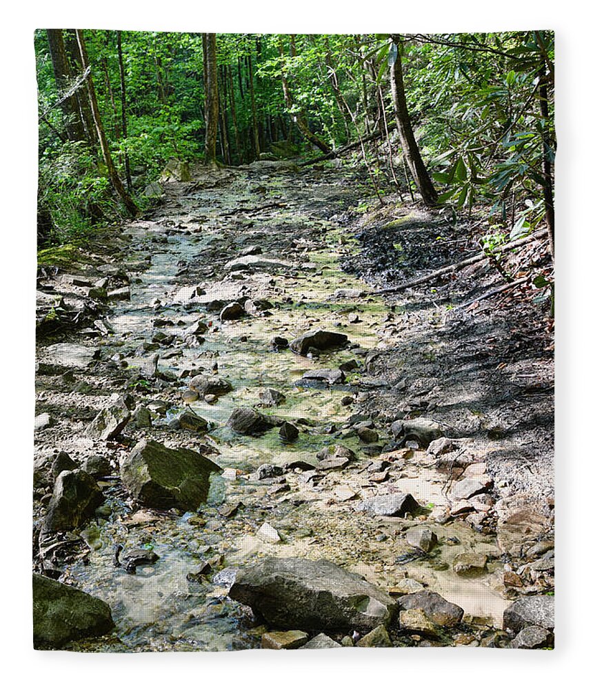 Trail Fleece Blanket featuring the photograph Trail Is A Creek by Phil Perkins