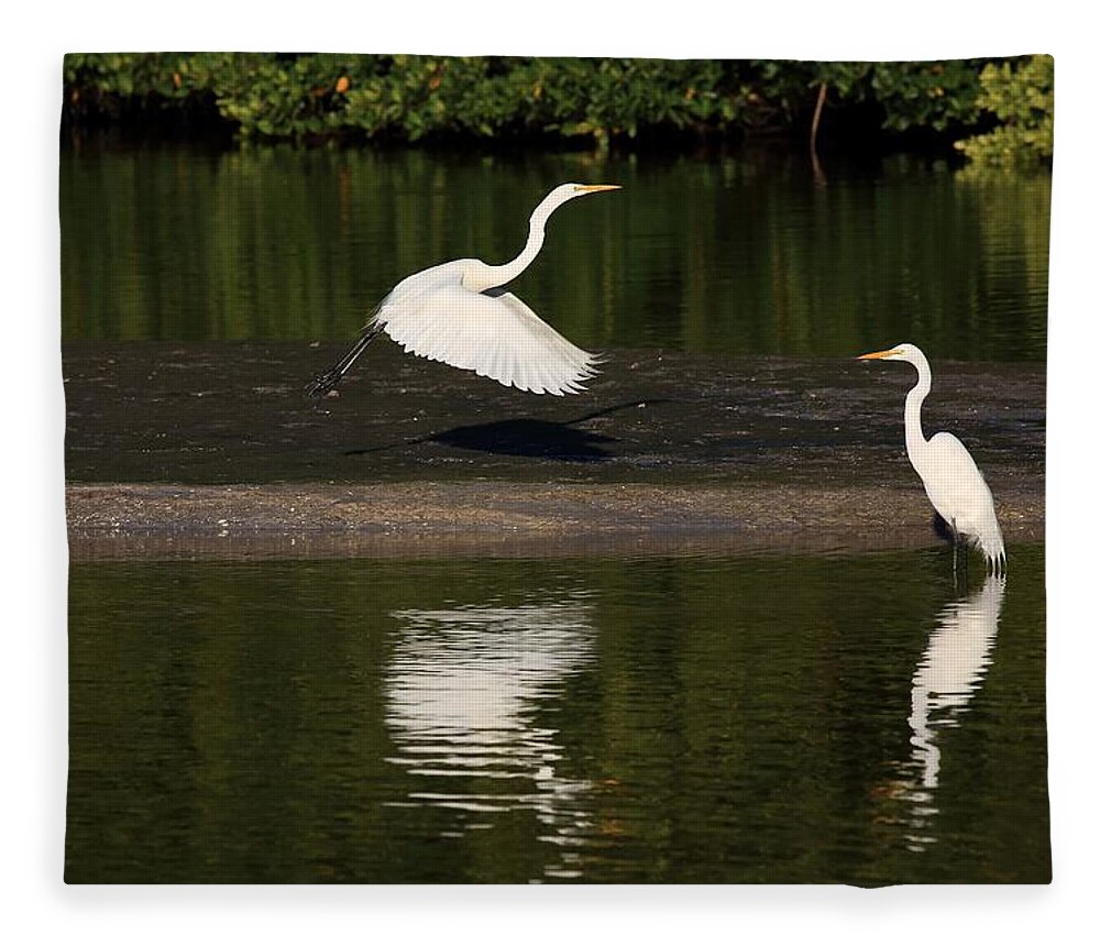Great Egret Fleece Blanket featuring the photograph Tranquil Scenery 1 by Mingming Jiang