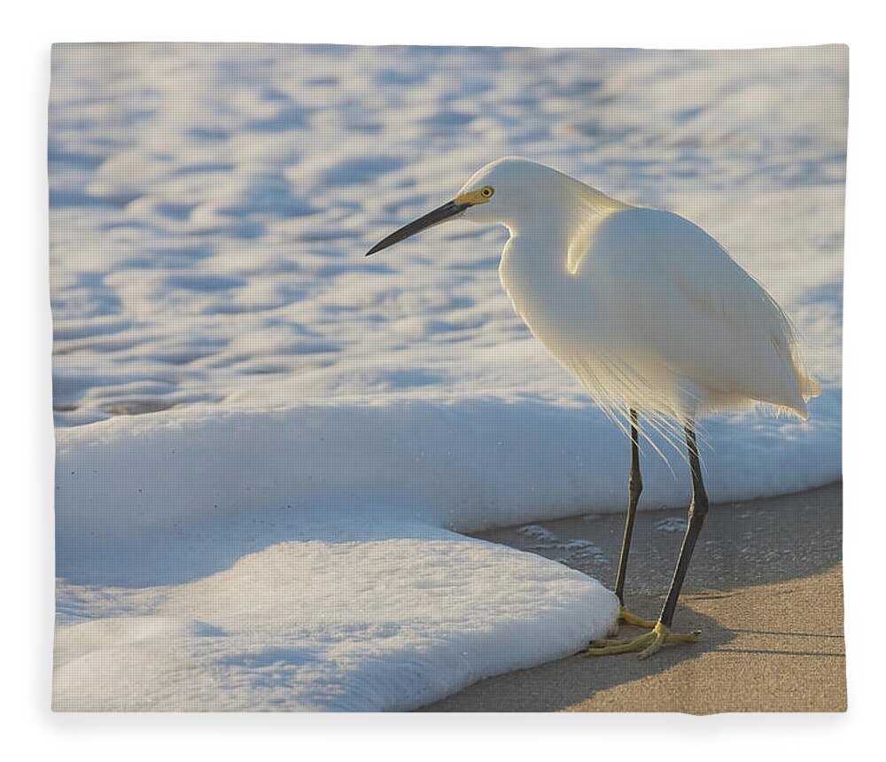 Snowy Egret Fleece Blanket featuring the photograph Treasures of the Foam by RD Allen