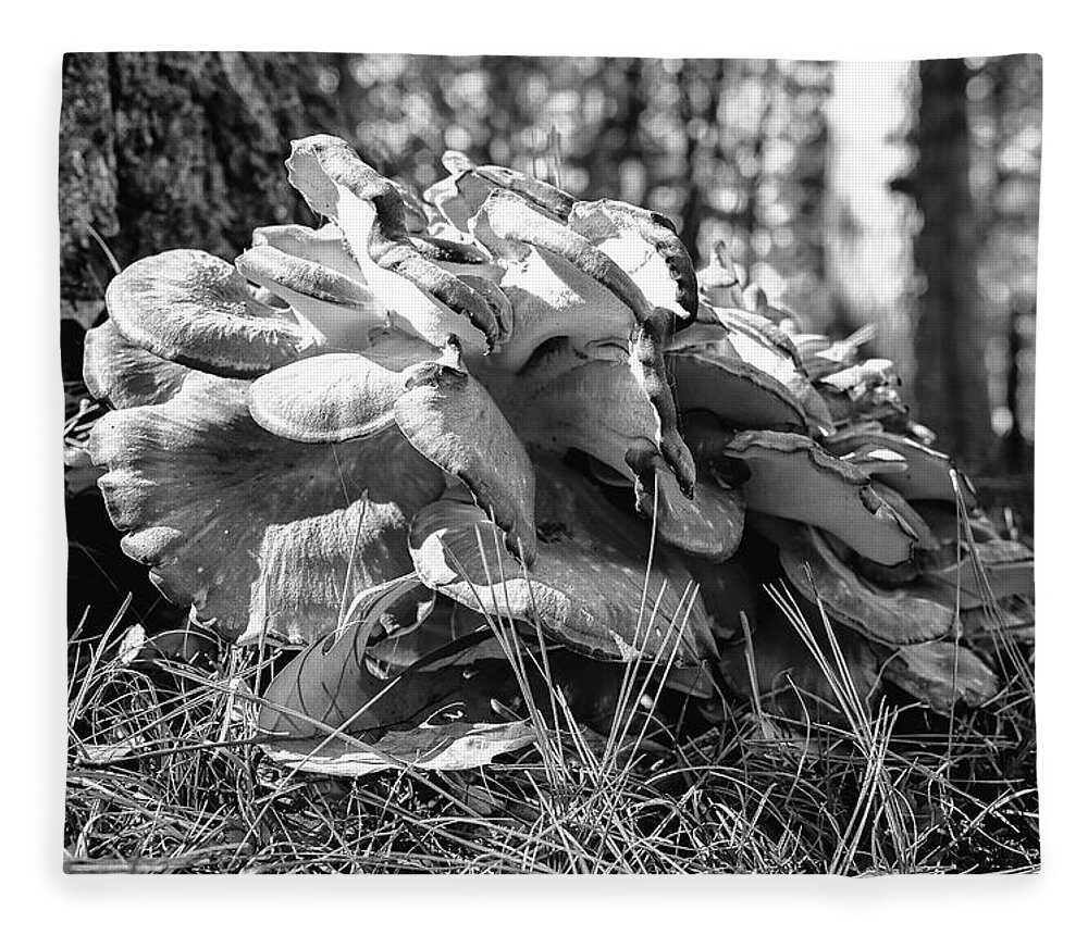 Tree Fleece Blanket featuring the photograph Tree Fungi by Steven Nelson