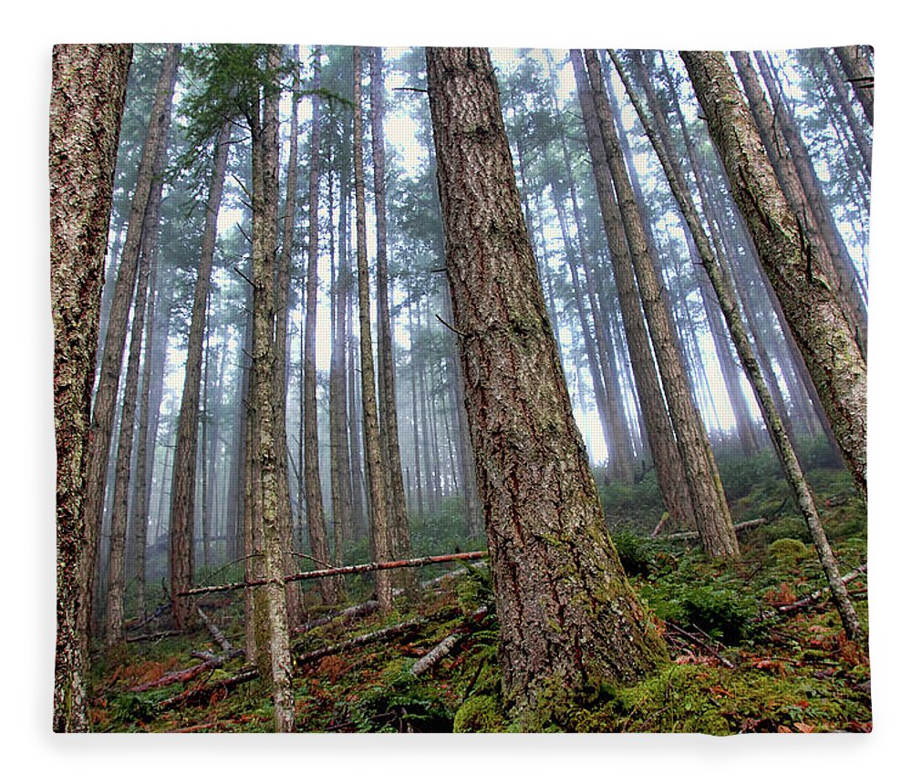 Forest Fleece Blanket featuring the photograph Tree Huggers Anonymous by Peggy Collins