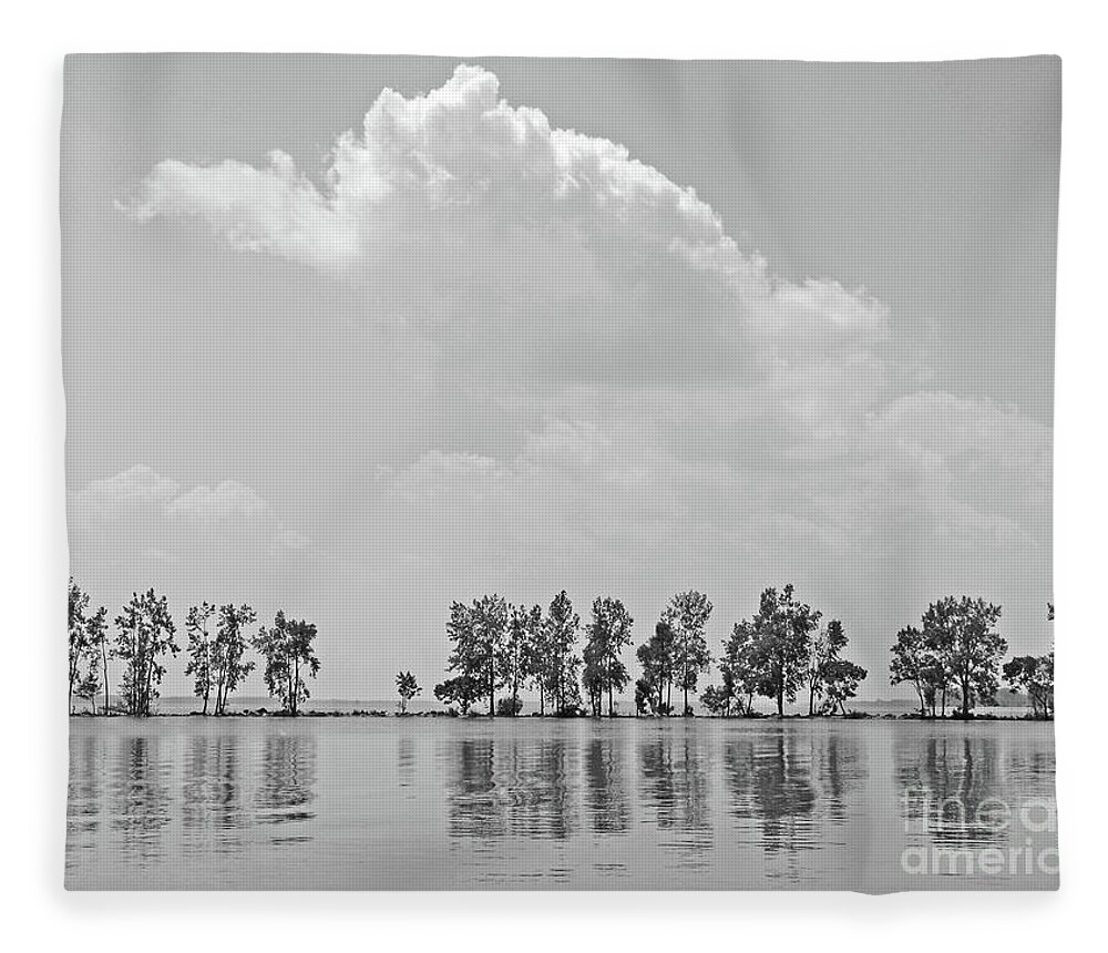 Landscape Fleece Blanket featuring the photograph Tree Line by Ann Horn