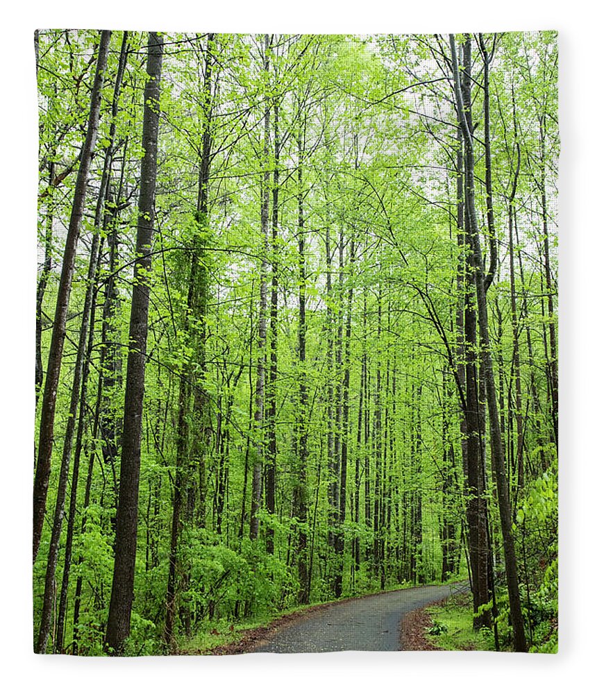 Curving Fleece Blanket featuring the photograph Tree-lined lane in early spring by Charles Floyd