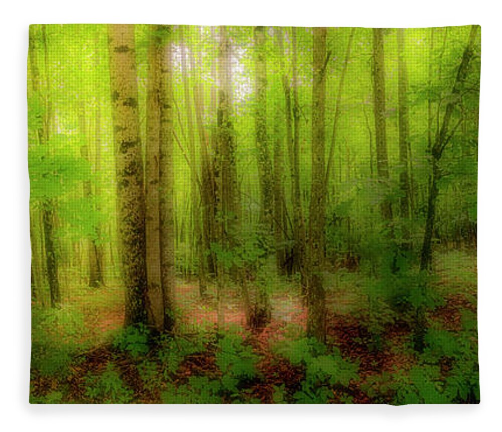 Mountains Fleece Blanket featuring the photograph Tree Trunks in the Forest fx 920 by Dan Carmichael