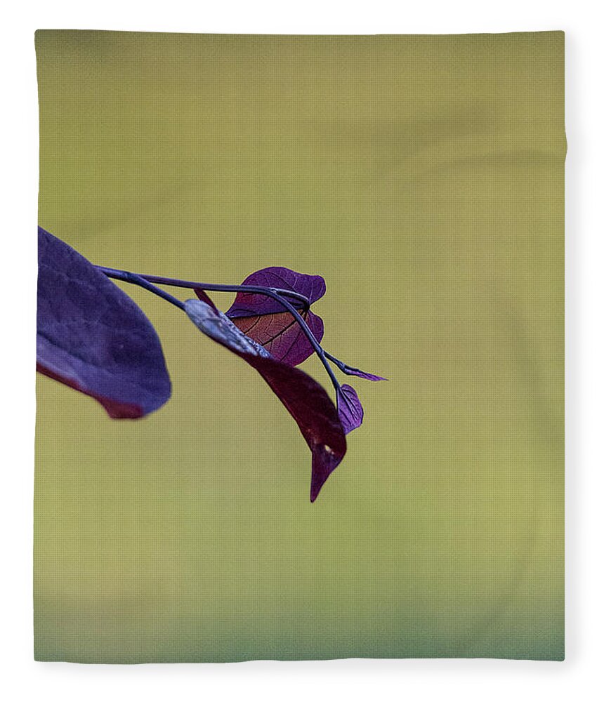 Redbud Fleece Blanket featuring the photograph Treebud by David Beechum