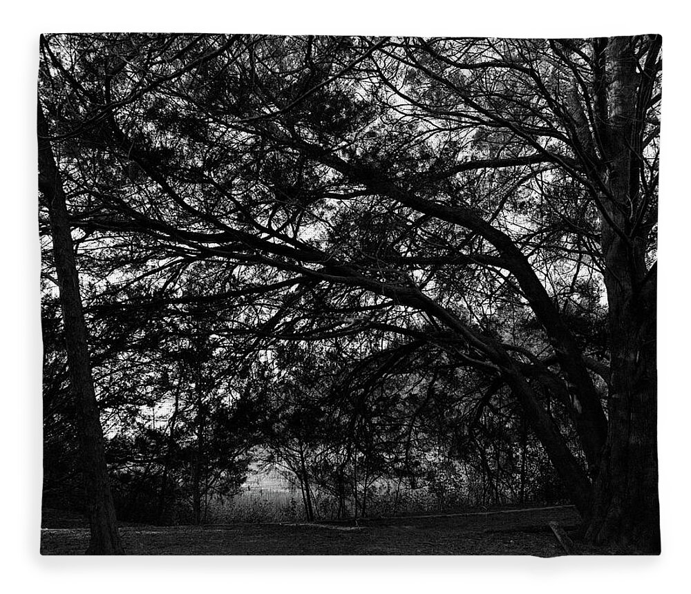 Georgia Fleece Blanket featuring the photograph Trees, Hammock, Marshes of Glynn by John Simmons