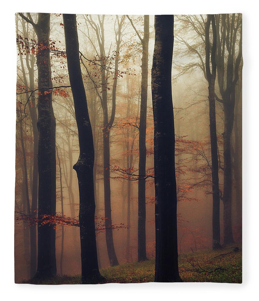Balkan Mountains Fleece Blanket featuring the photograph Trees in the Mist by Evgeni Dinev