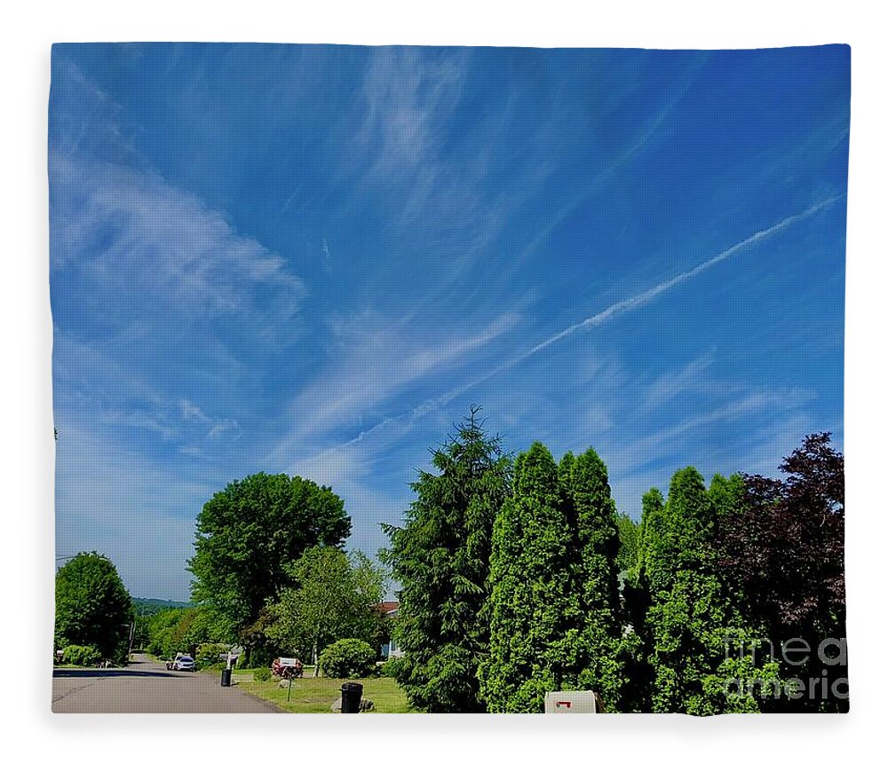 Trees Fleece Blanket featuring the photograph Trees of Winton, Summer by Kate Conaboy