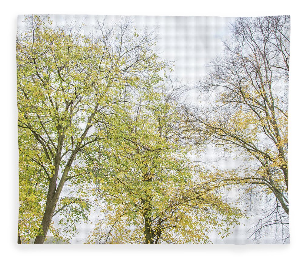 Trent Park Fleece Blanket featuring the photograph Trent Park Trees Fall 16 by Edmund Peston