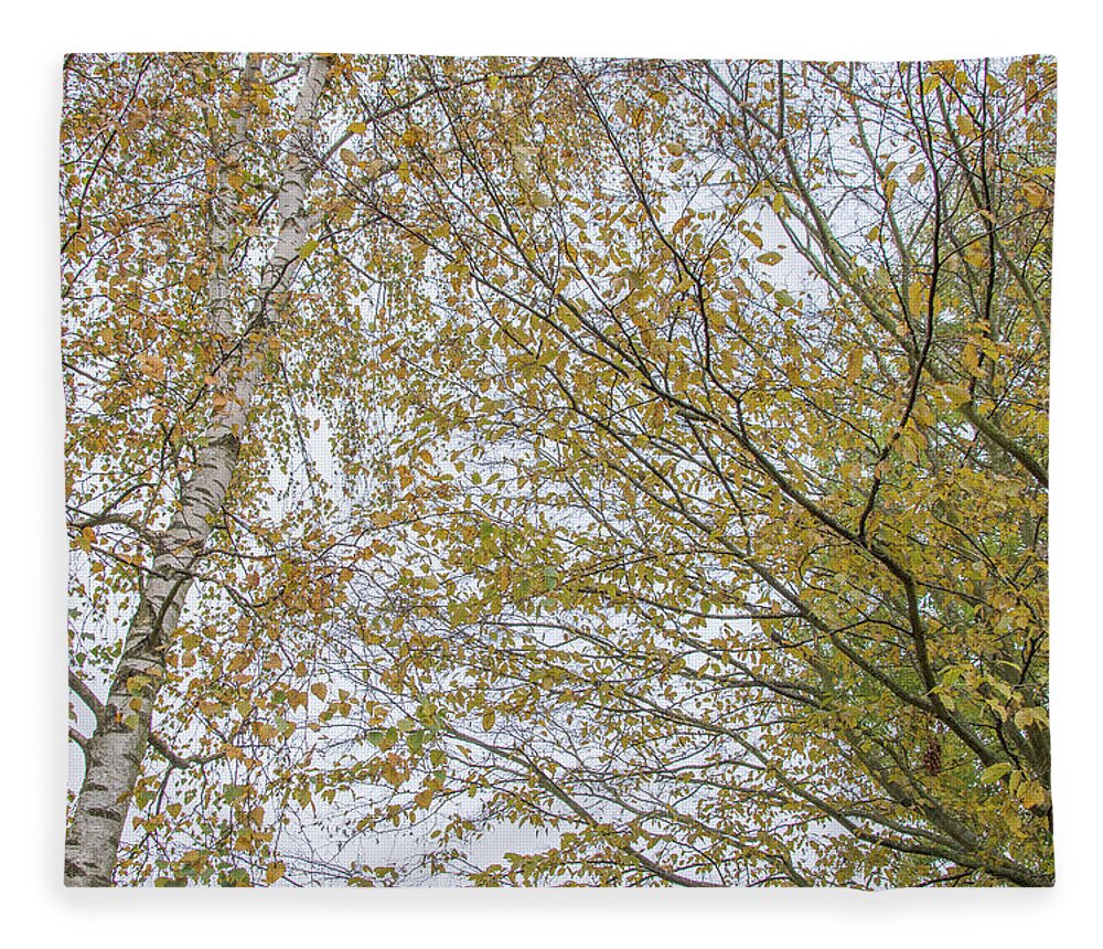 Trent Park Fleece Blanket featuring the photograph Trent Park Trees Fall 4 by Edmund Peston