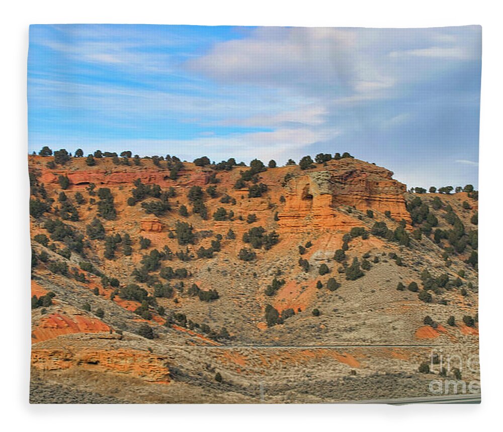 Landscape Fleece Blanket featuring the photograph Trip Across USA Arizona Landscape by Chuck Kuhn