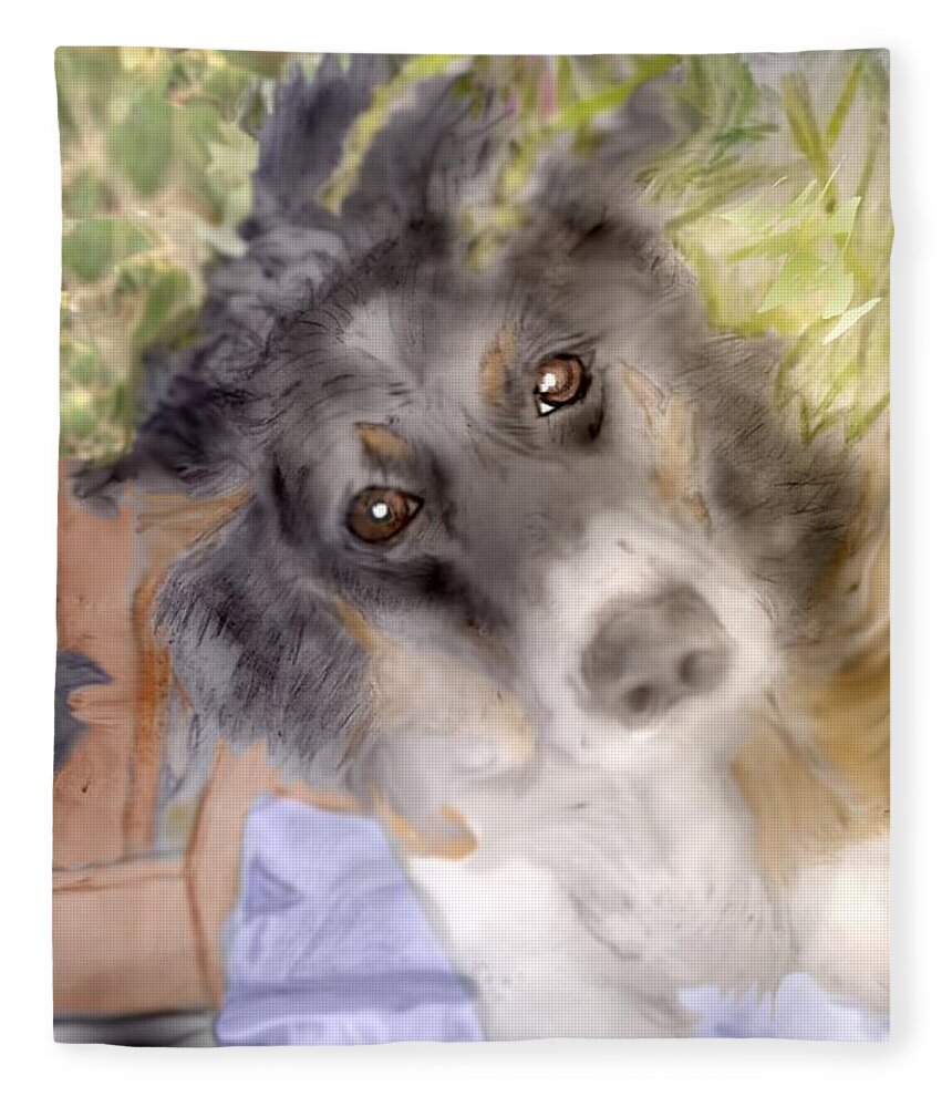 Border Collie Australian Shepard Dog Pencil Sketch Computer Enhanced Fleece Blanket featuring the mixed media Trip to the Garden Center by Pamela Calhoun