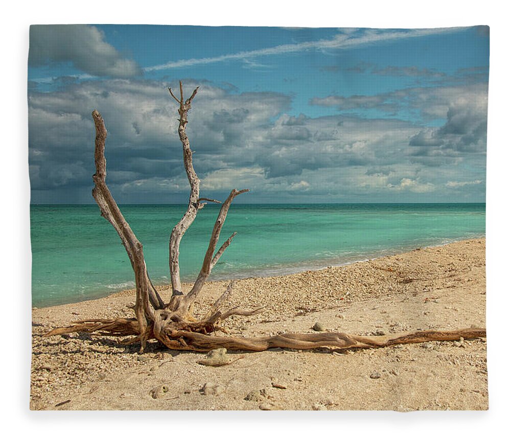 Driftwood Fleece Blanket featuring the photograph Tropical Beach Driftwood by Kristia Adams
