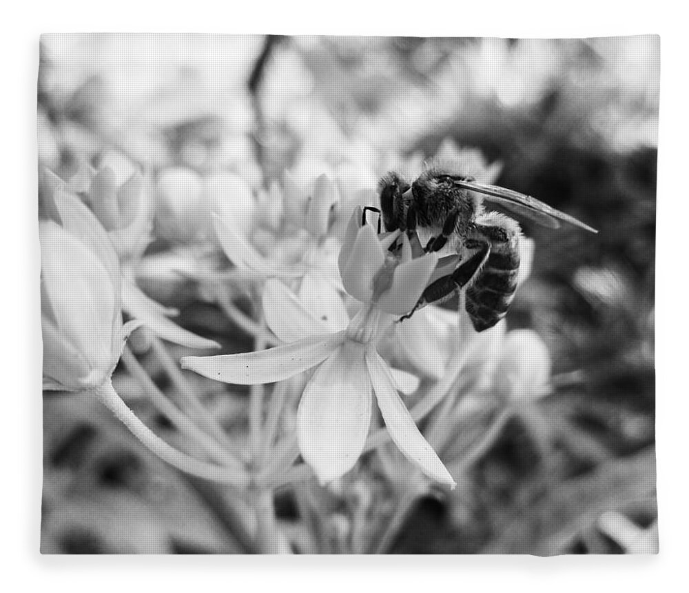 Asclepias Curassavica Fleece Blanket featuring the photograph Tropical Milkweed and a Bee by W Craig Photography