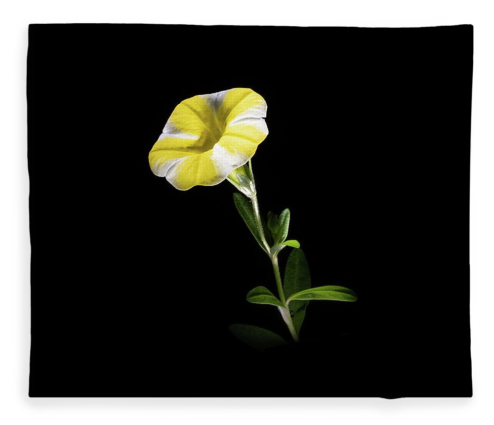 Contrast Fleece Blanket featuring the photograph Trumpet Solo by Kevin Suttlehan