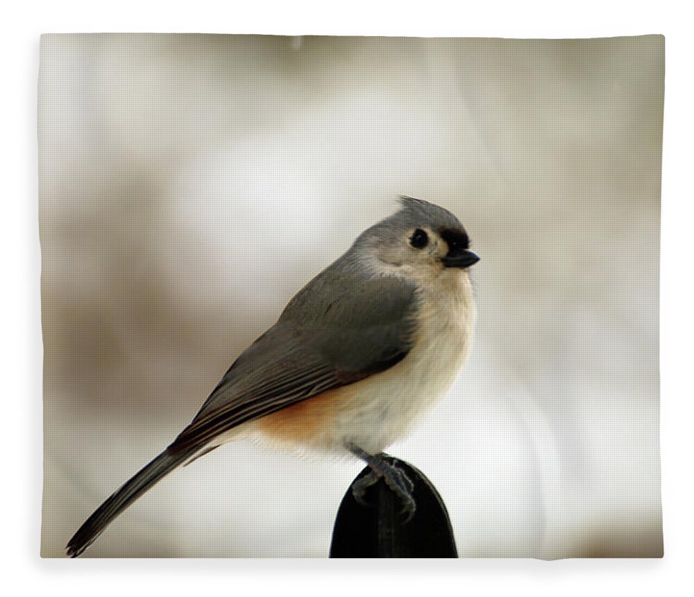 Tufted Tit Mouse Fleece Blanket featuring the photograph Tufted Tit Mouse by Laurie Lago Rispoli