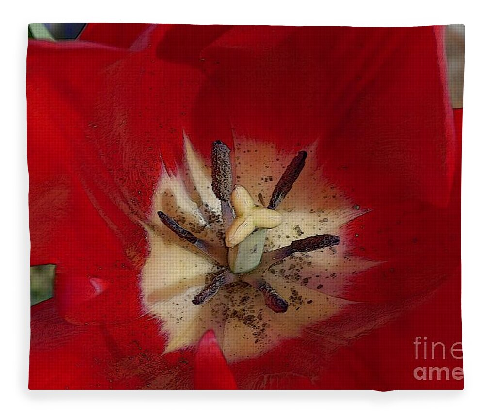 Art Fleece Blanket featuring the photograph Tulip 3 by Jean Bernard Roussilhe