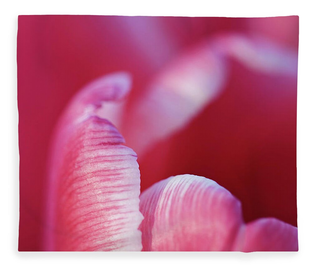 Pink Fleece Blanket featuring the photograph Tulip Detail by Maria Meester