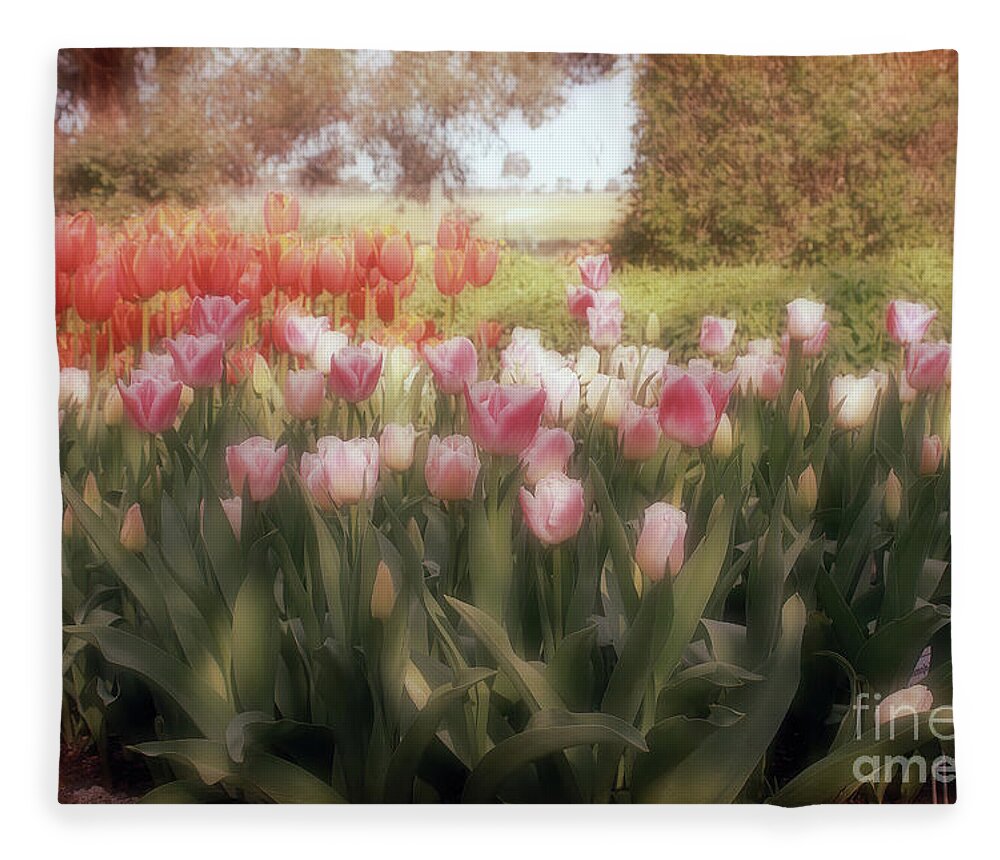 Flowers Fleece Blanket featuring the photograph Tulip Dreams by Elaine Teague