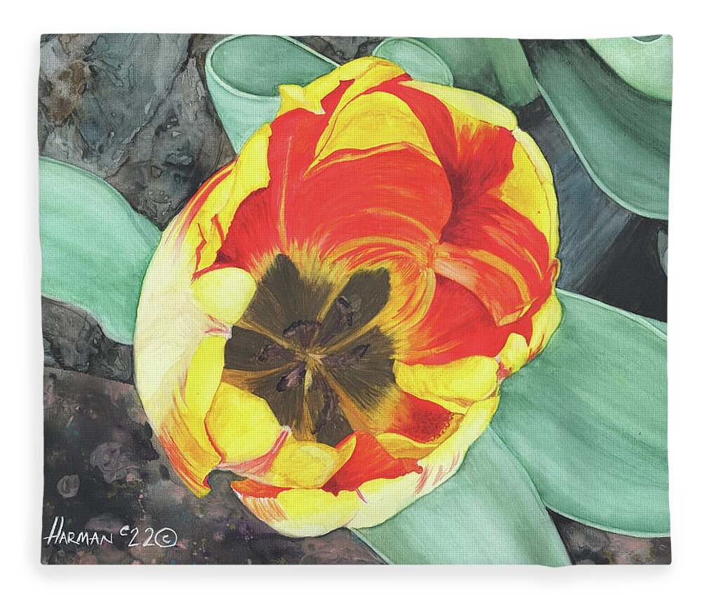 Watercolor Fleece Blanket featuring the painting Tulip Heart by Heather E Harman