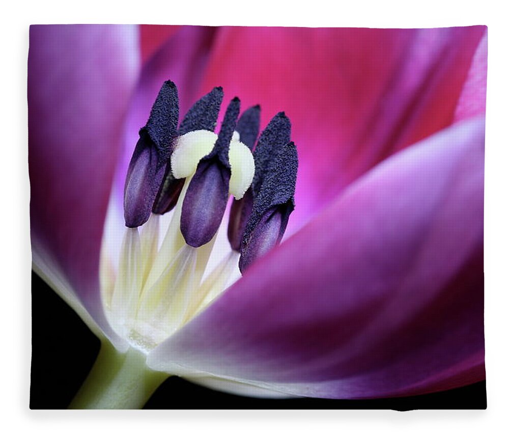 Macro Fleece Blanket featuring the photograph Tulip Pink 3917 by Julie Powell