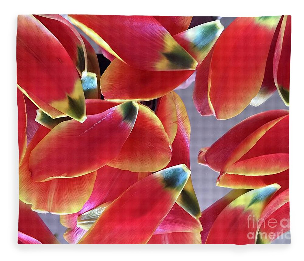 Composition Fleece Blanket featuring the photograph Tulip Series 1-3 by J Doyne Miller