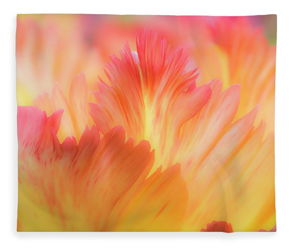 Agricultural Fleece Blanket featuring the photograph Tulip Splash by Eggers Photography