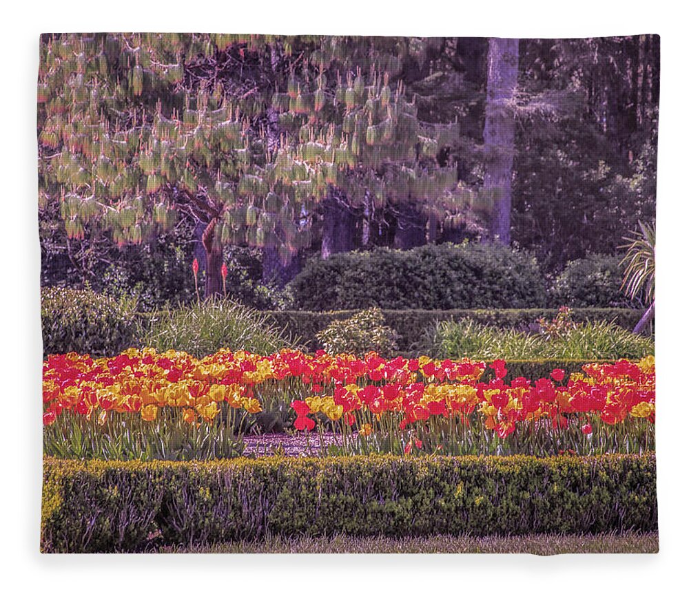 Tulips Fleece Blanket featuring the photograph Tulips at Shore Acres by Sally Bauer