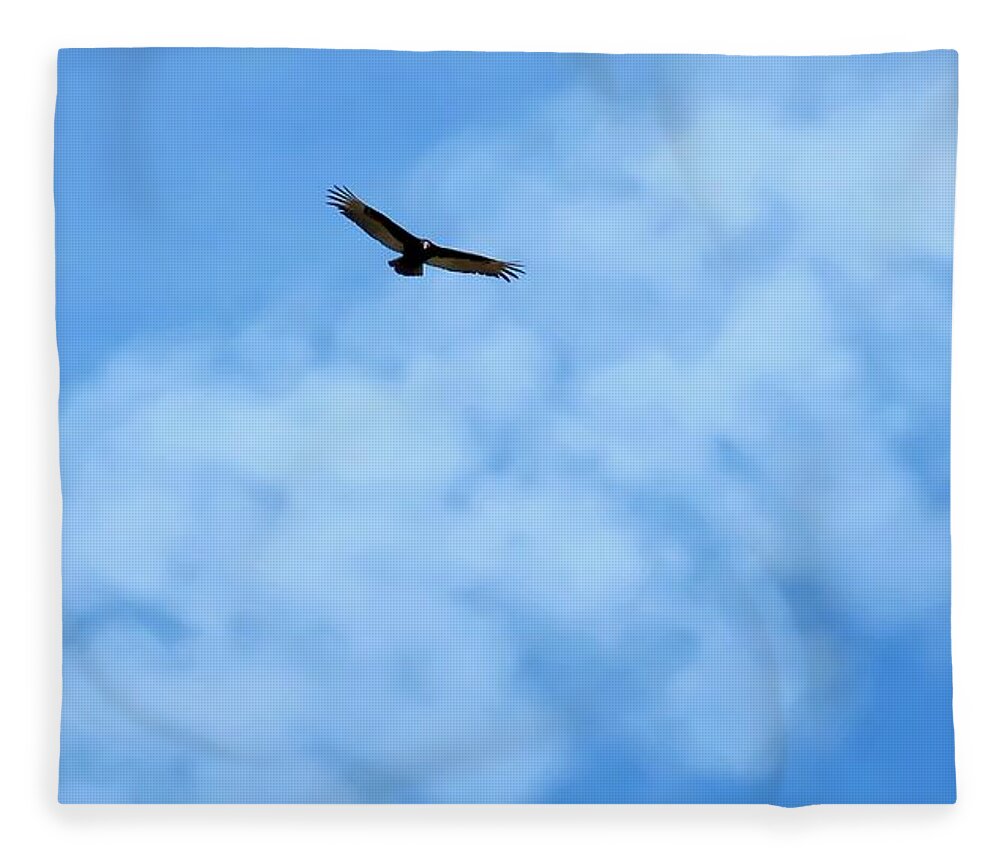Arizona Fleece Blanket featuring the photograph Turkey Vulture in Flight by Judy Kennedy